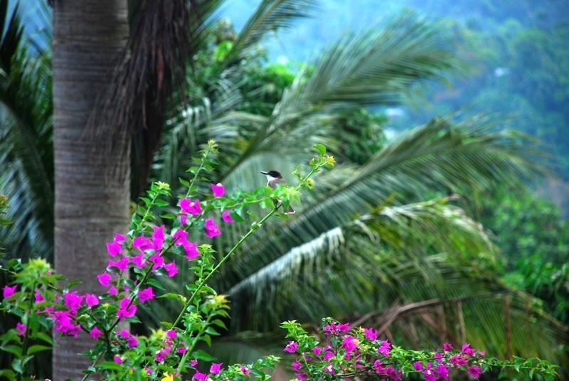 Tranquility Villa Port Antonio Exterior foto